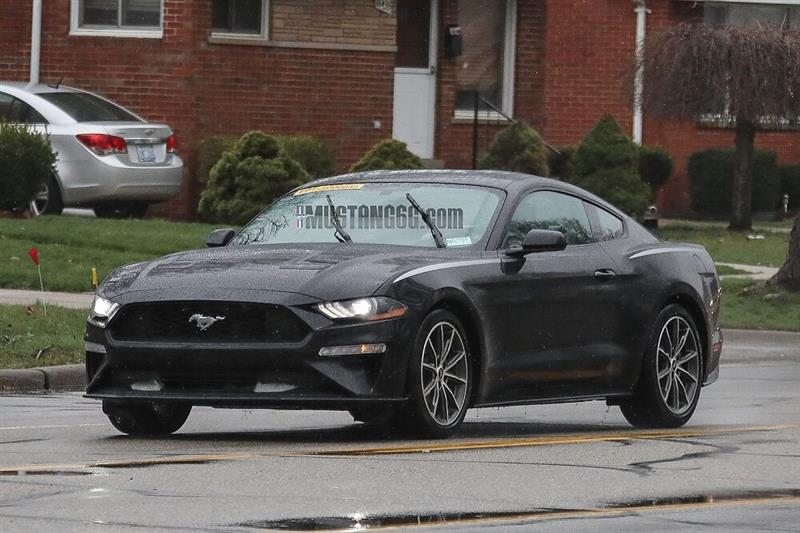 2019 Mustang Color Chart