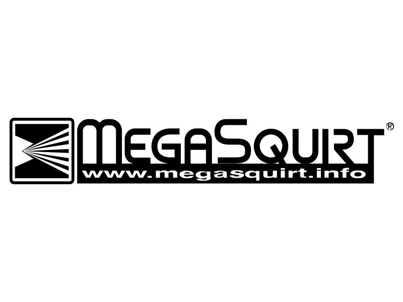 megasquirtpnp megatune