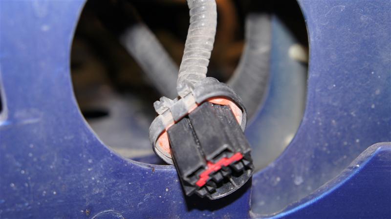 Mustang Headlight Socket Repair (87-04) - LMR.com