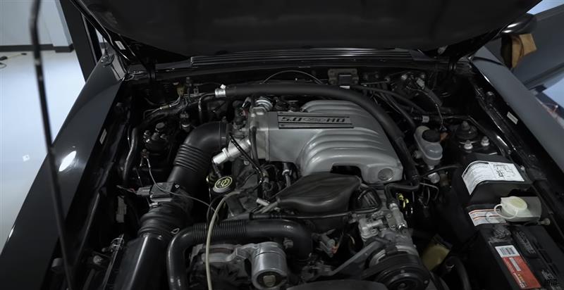 Will A Stock 14,000 Mile Fox Body Make Decent Power On The Dyno? - Will A Stock 14,000 Mile Fox Body Make Decent Power On The Dyno?